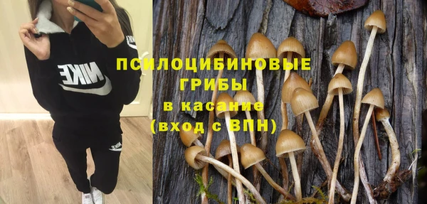 спайс Карпинск