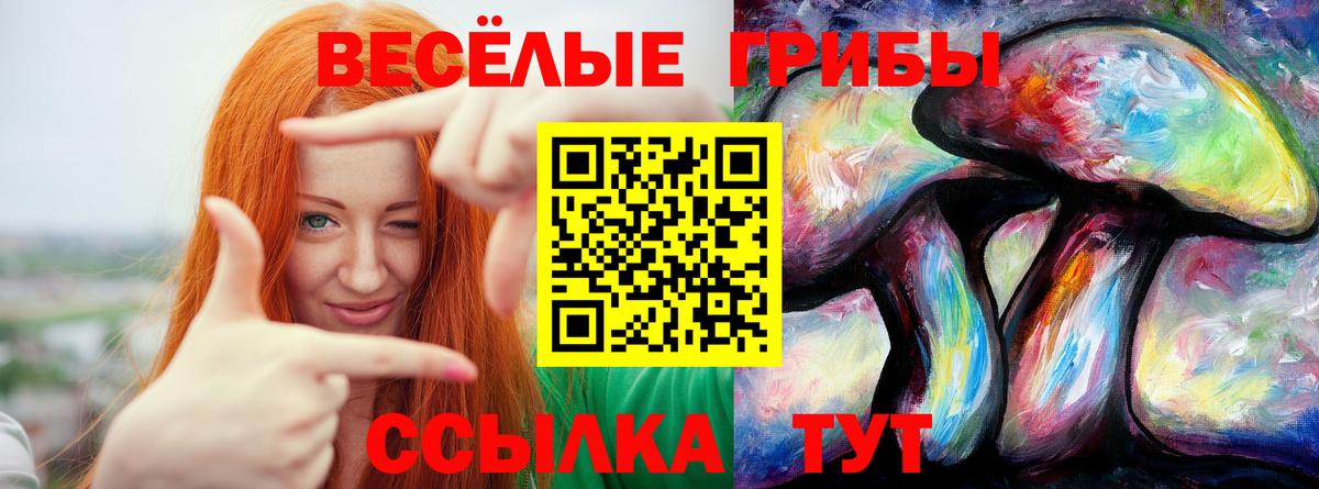 Галлюциногенные грибы Psilocybine cubensis Нефтеюганск